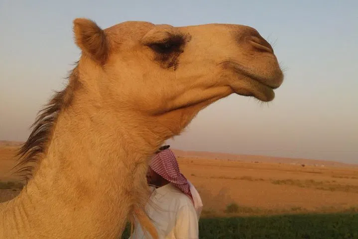 img0