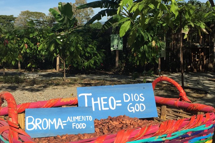 Experience Image img1