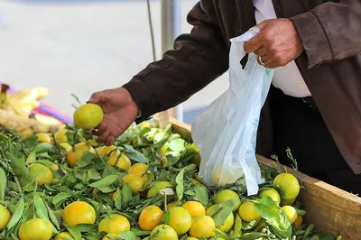 Palermo Market Tour & Sicilian Cooking Class