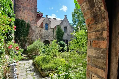 Image 3