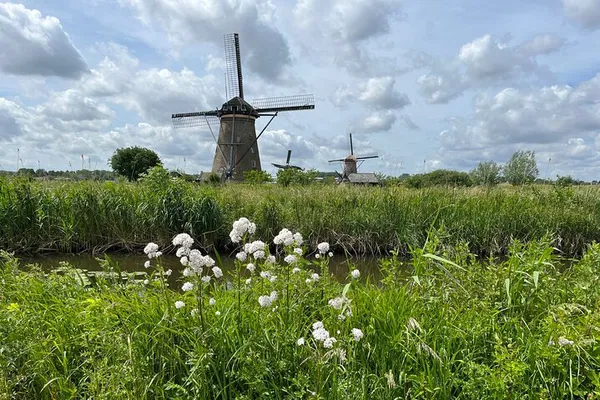 Windmills, Delft & Delft Blue: Day Trip from Rotterdam