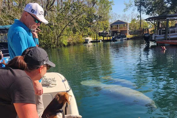 Discover Crystal River's Wonders: A Personalized Wildlife Boat Tour