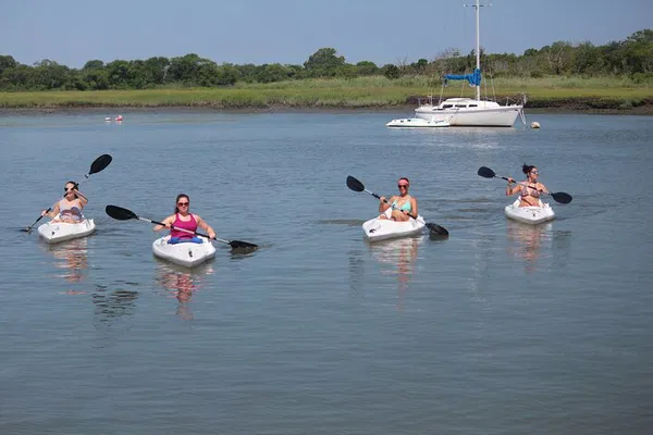 Cape May Kayak Adventure: Explore Coastal Wonders!