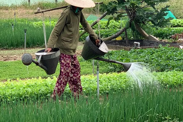 Hoi An Culinary Adventure: Cooking Class & Basket Boat Tour in Eco-Village