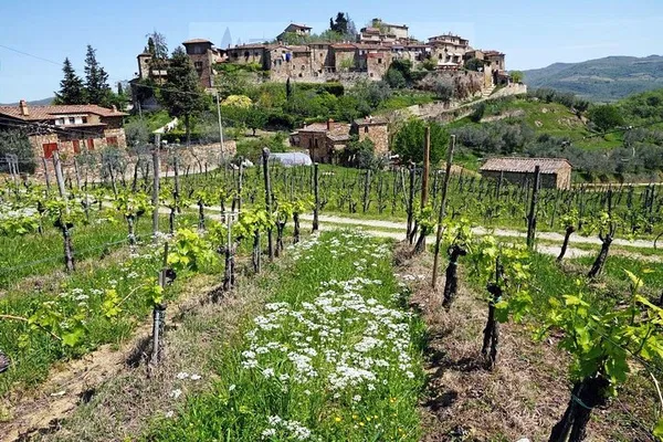 Unveiling Chianti's Charms: A Personalized Small-Group Tour from Florence