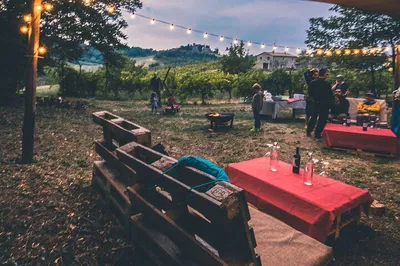 Sunset Wine Chalices: Orvieto Vineyard Sensory Delight