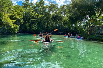 Weeki Wachee Clear Kayak Tour: See Manatees!