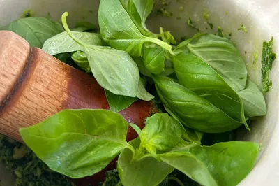 Authentic Cinque Terre Pesto Making in a Historic Riomaggiore Home