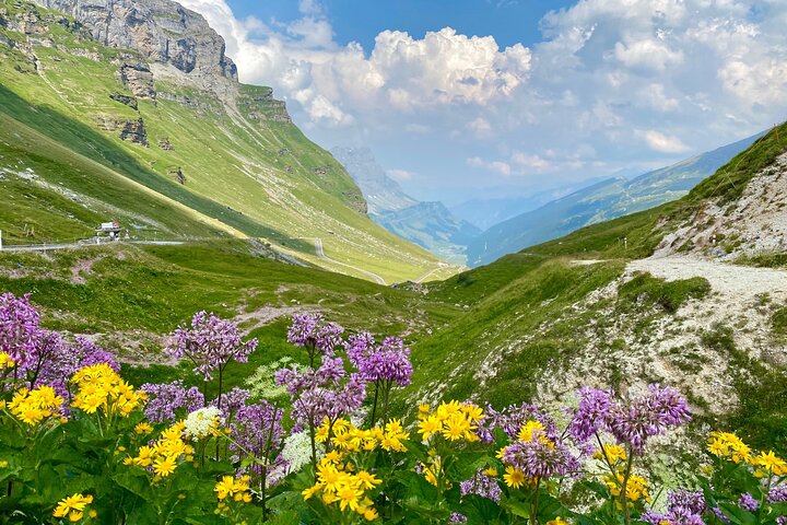 https://images.dyvarcity.com/experience-images/dyvarcity_bba8802237c12f482abd211aa_db.jpg