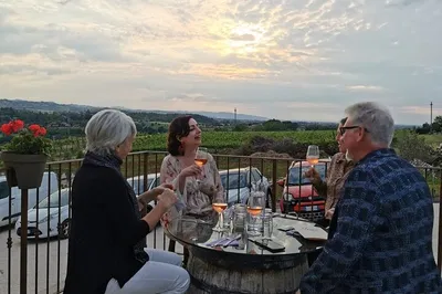 Vinegar Voyage: Taste Modena's Liquid Gold at Acetaia la Vedetta