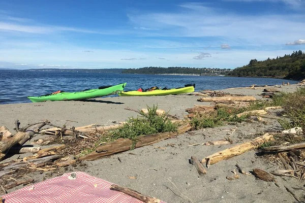 Seattle Kayak Tour: Discovery Point & Lunch