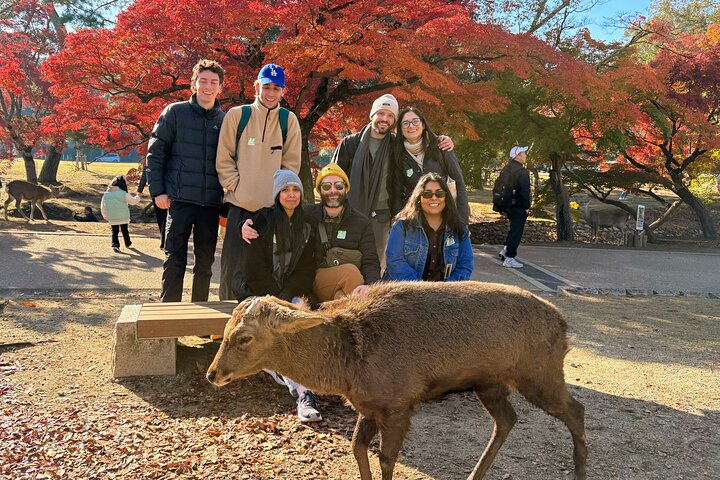 Experience Image img3