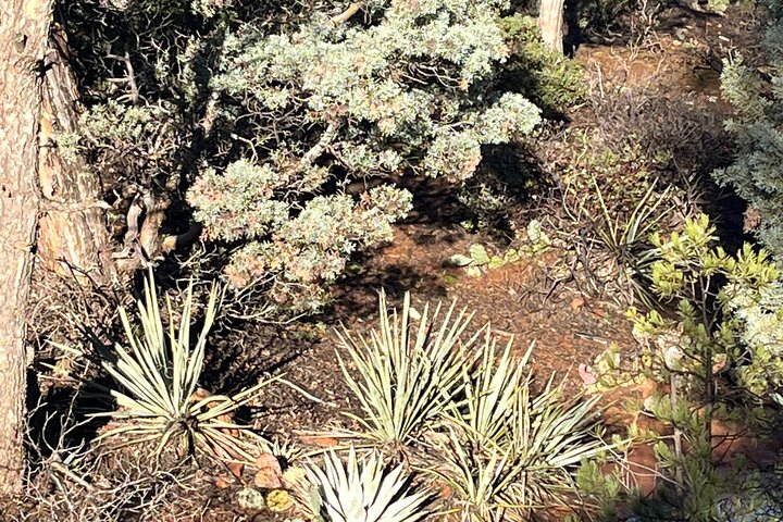 Experience Image img3