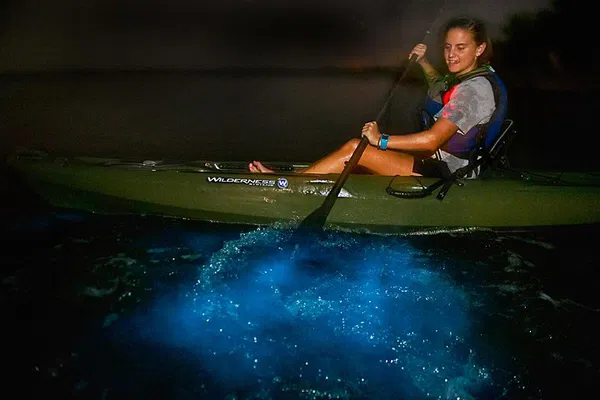 Kayak Bioluminescence Tour: See Glowing Waters!