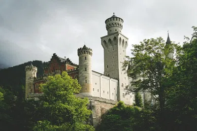 Image 3
