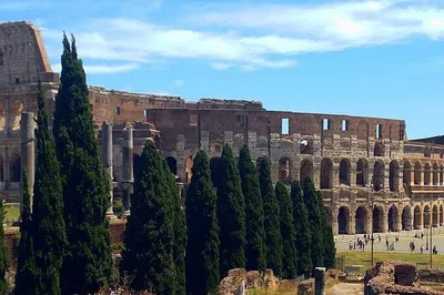 Unlock Ancient Rome's Secrets: An Archaeologist-Led Colosseum & Forum Tour