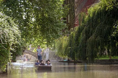 Glide Through Cambridge: A Shared Punting Adventure on the River Cam