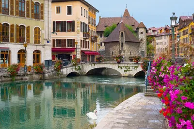 Annecy & Geneva: A Perfect Day of Swiss & French Beauty!