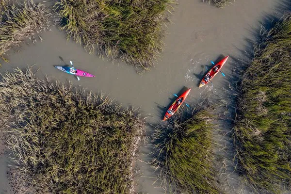 Glide Through Paradise: Dolphin Safari Kayak Adventure in Folly Beach