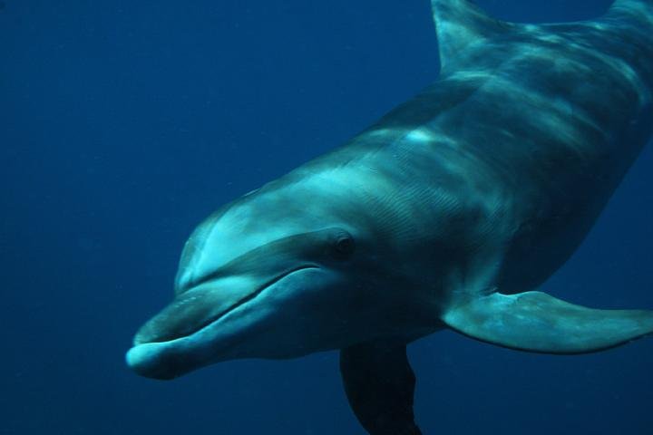 Experience Image img1