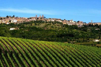Unforgettable Val d'Orcia: Wine, Cheese, and Tuscan Charm Private Tour
