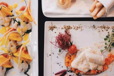 Venetian Culinary Delight: A Four-Course Food & Wine Pairing Experience