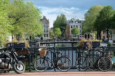 Amsterdam Countryside Bike Tour: Pedal Through Picturesque Waterland