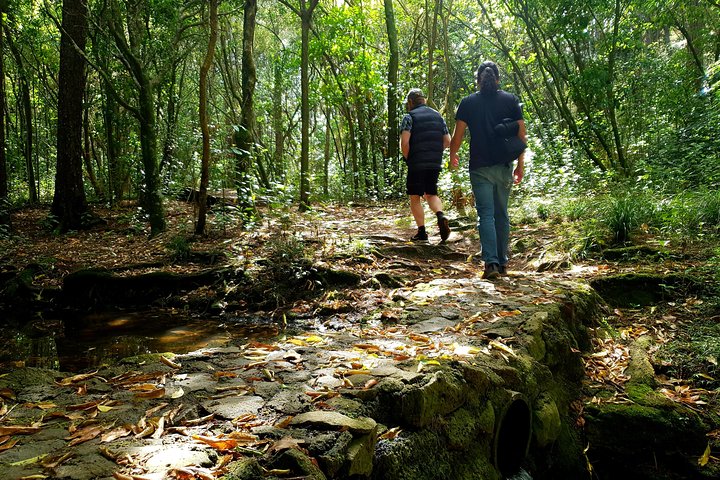 Experience Image img1