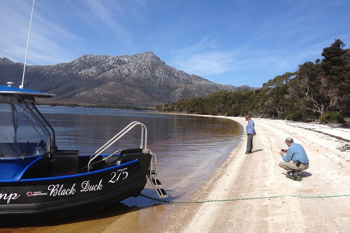 Untamed Tasmania: 3-Day Southwest National Park Camping Expedition