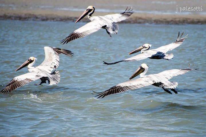 Experience Image img1