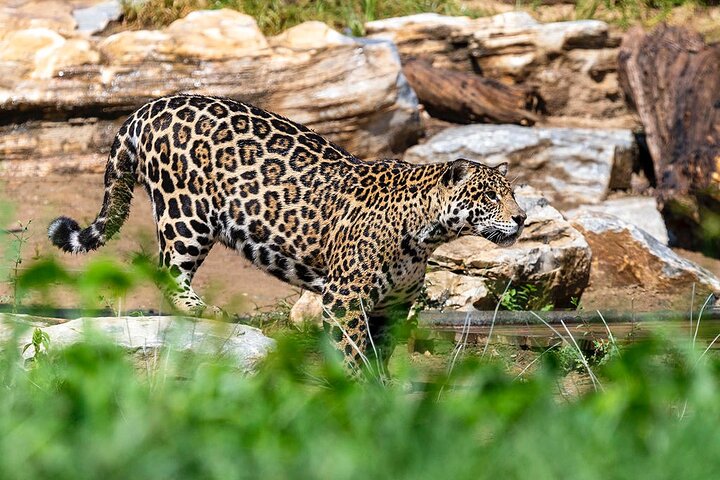 Experience Image img2