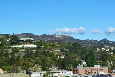 Hike to Hollywood History: Sign Adventure