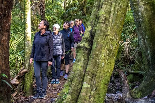 Reconnect with Nature: Waiheke Island Forest Therapy Walk