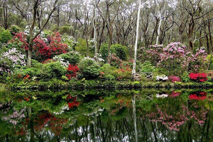 https://images.dyvarcity.com/experience-images/dyvarcity_bda83c79634f049f39b79bb67_a4.jpg