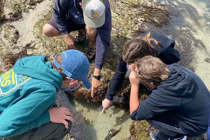 Experience Image img4