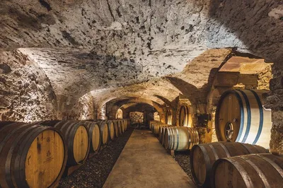 Provence Wine Tour: Taste Rosé & Explore Vineyards