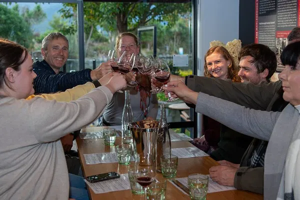Marlborough Wine Tour: Taste 20+ Wines, Door-to-Door!