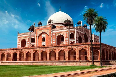 Discover Delhi's Charms: A Personalized Half-Day Private Tour