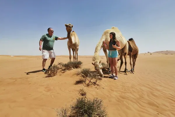 Dubai Desert Safari: Quad Bike, Dunes & Thrills!