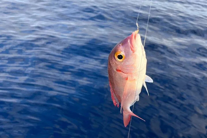 img0