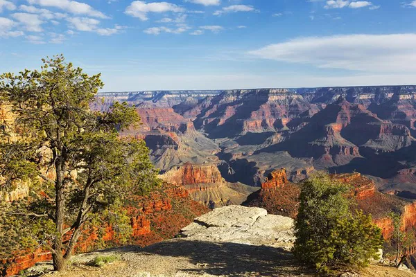 Majestic Grand Canyon Day Tour: An Unforgettable Phoenix/Scottsdale Escape