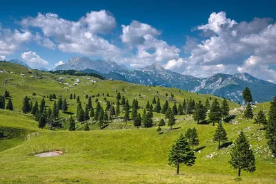Unveiling Kamnik & Velika Planina: A Timeless Alpine Journey from Bled