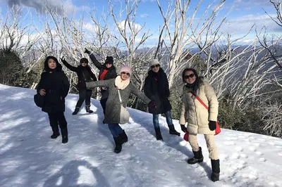 Mt Buller Snow Day: Small Group Tour from Melbourne