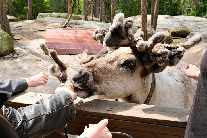 Experience Image img1