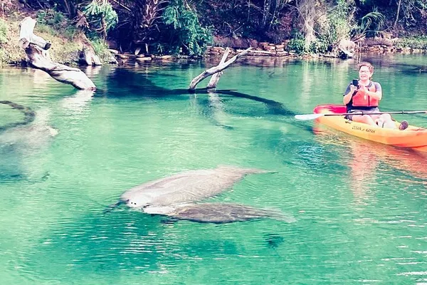 Discover Florida's Springs: Manatee Paddleboard & Kayak Adventure