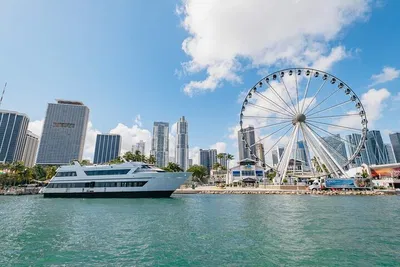 Miami Adventure: Hop-On, Cruise & Everglades Thrills!