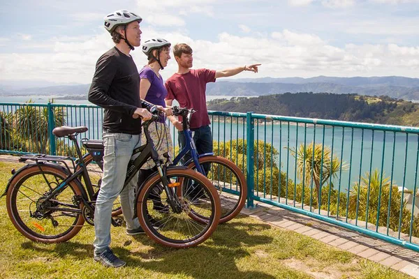 Wellington E-Bike Adventure: Explore Bays & Views
