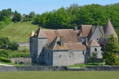 Image 1