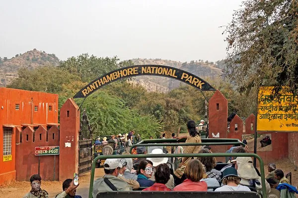 Unleash Your Inner Explorer: A Thrilling Jaipur to Ranthambore Safari