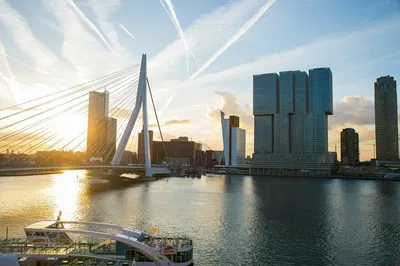 Unleash Your Inner Explorer: Rotterdam's Self-Guided Treasure Hunt!